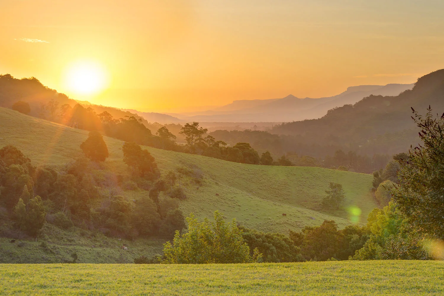 103_747_Wattamolla_Rd_Kangaroo_Valley.jpg