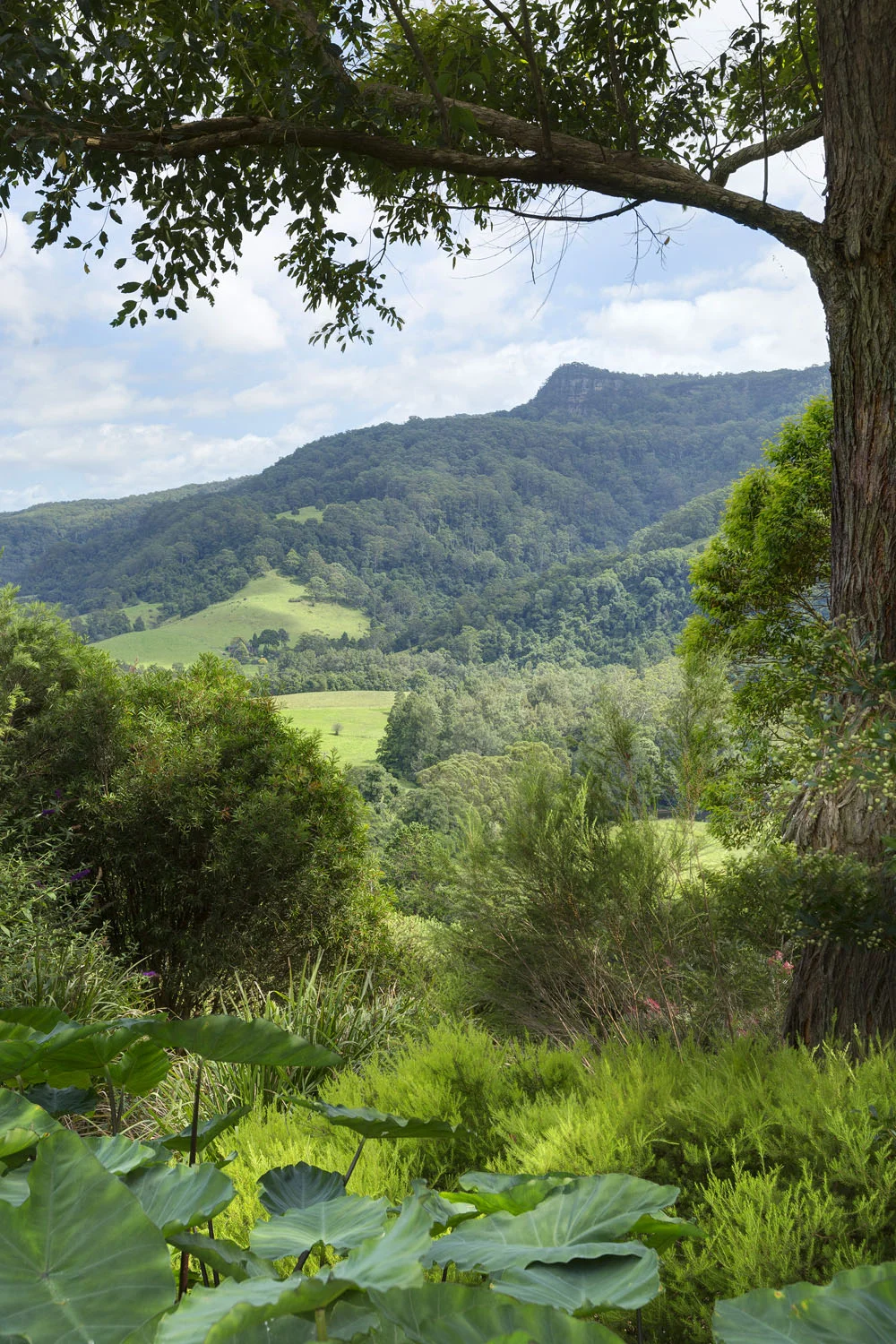 14_747_Wattamolla_Rd_Kangaroo_Valley.jpg