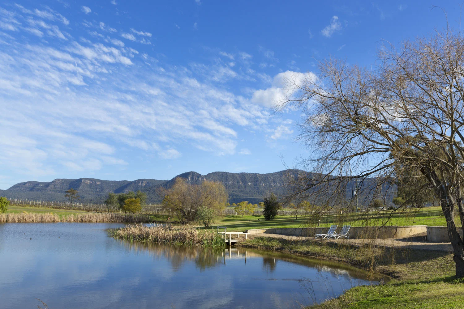 56_Willow_Tree_Estate_Pokolbin.jpg