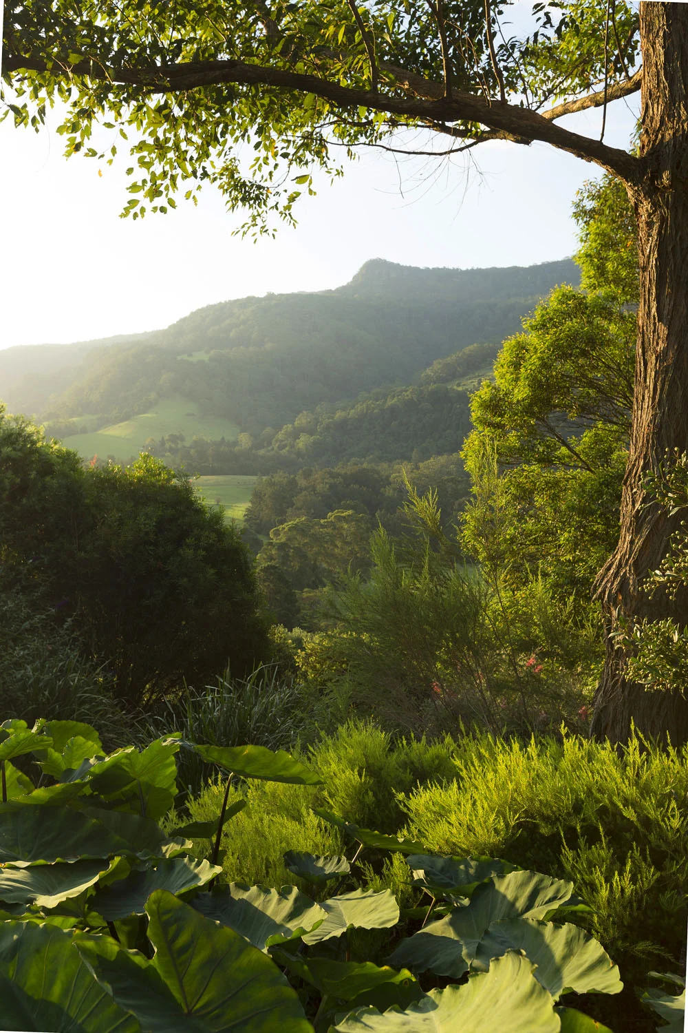 84_747_Wattamolla_Rd_Kangaroo_Valley.jpg