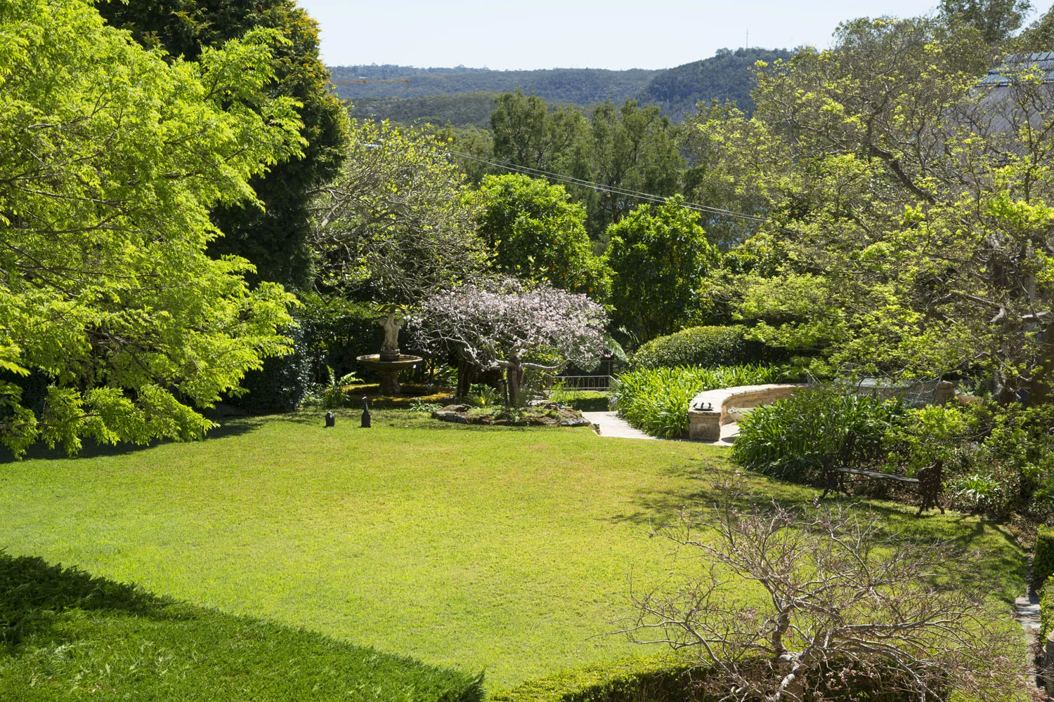 GARDEN_HIGH_16_Linden_Way_Castlecrag.jpg
