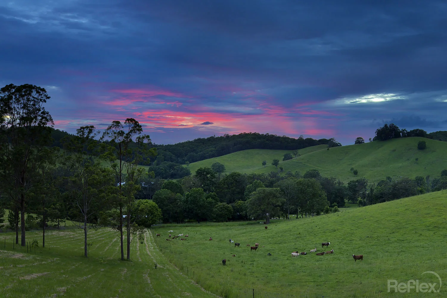 SUNRISE1_004_Hillcrest_Crystal_Creek_2015 copy.jpg