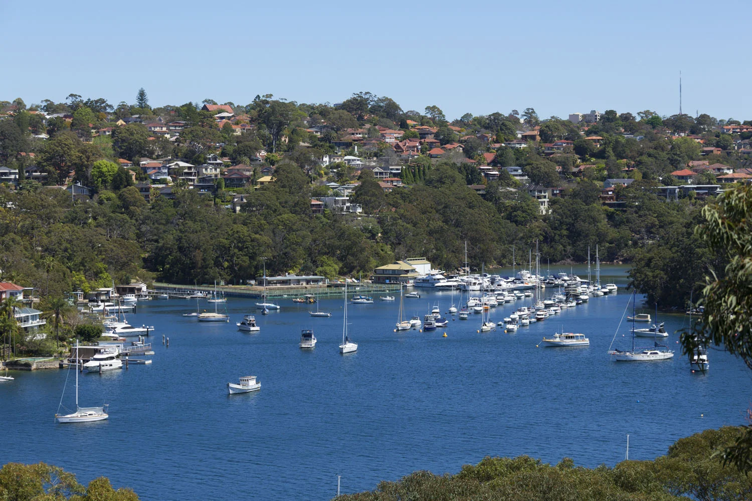 VIEW16_16_Linden_Way_Castlecrag.jpg